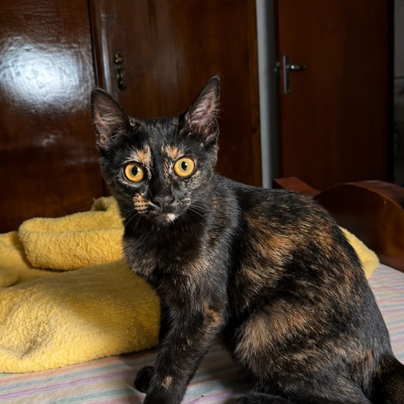 LUNA