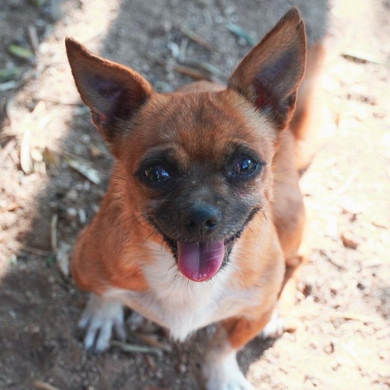 LLUNA