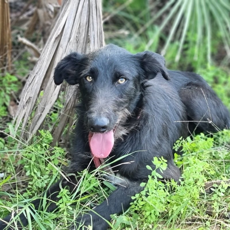LUKA