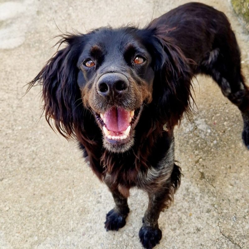 SAM