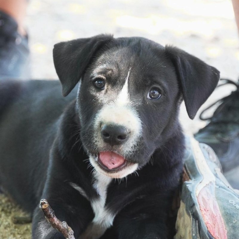 FREEK
